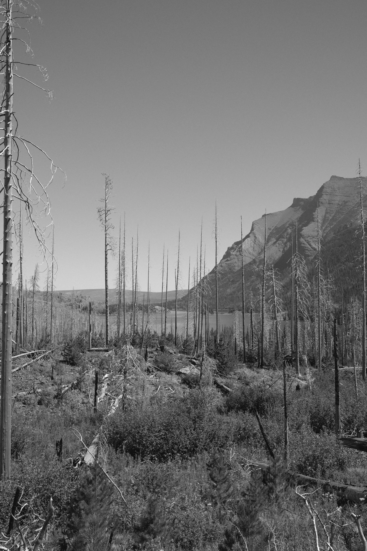 hiking